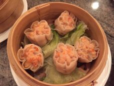 筷子-苏黎世-鱼大壮