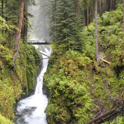 美国西雅图4日3晚跟团游