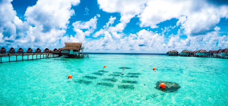 Centara Grand Island Resort Spa Maldives Travel Guidebook - 