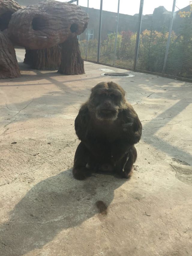 龍沙動植物園