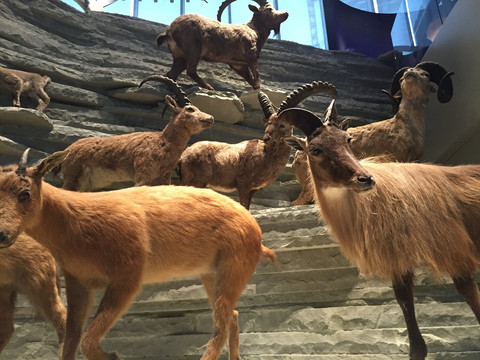 上海- 上海游记攻略【携程攻略】