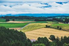 美瑛町-doris圈圈