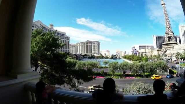 Bellagio Conservatory and Botanical Gardens