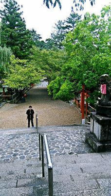 冰室神社-奈良-_CFT01****2209015