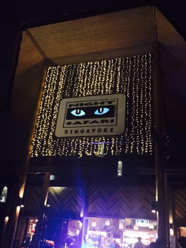 Night Safari