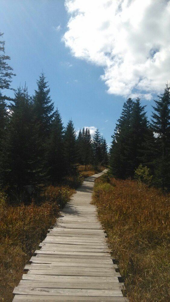 West Slope of Changbai Mountain Scenic Area