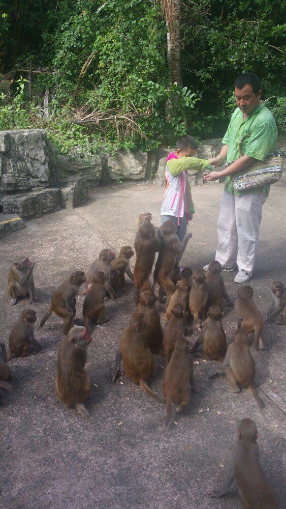 Nanwan Monkey Island