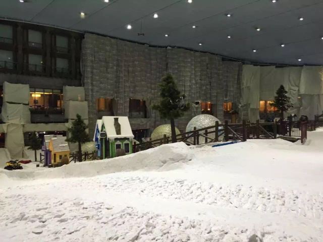 Ski Dubai