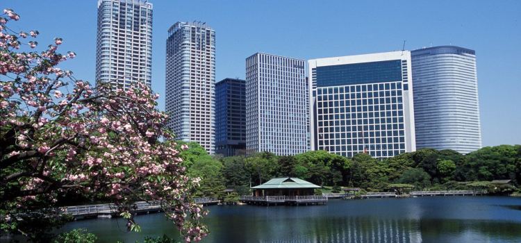 Hama Rikyu Gardens Travel Guidebook Must Visit Attractions In