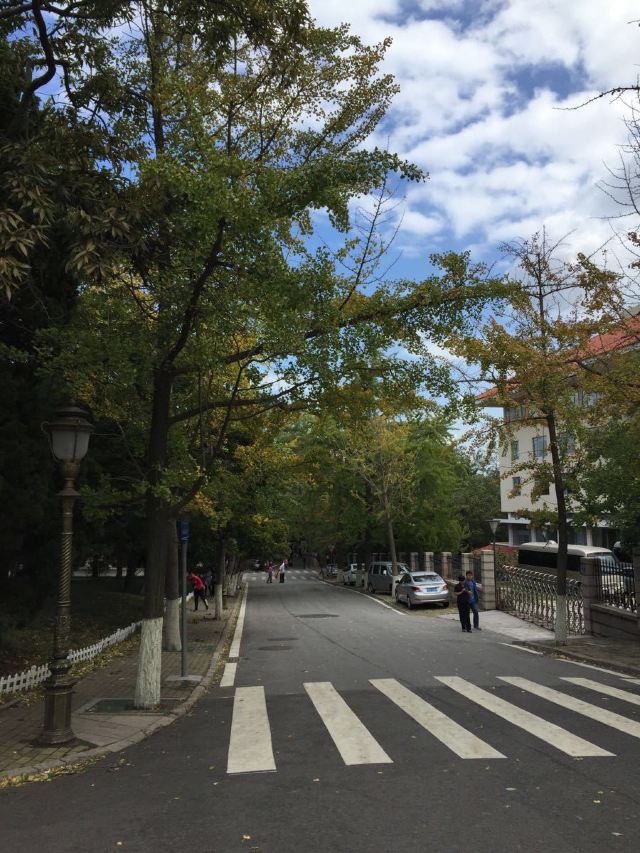 바다관(팔대관)