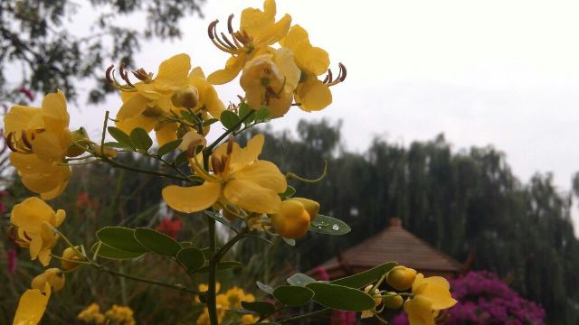Old Summer Palace