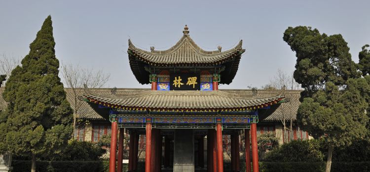 Xian Beilin Museum Tickets Deals Reviews Family - 