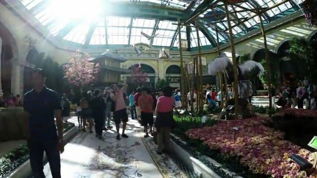 Bellagio Conservatory and Botanical Gardens