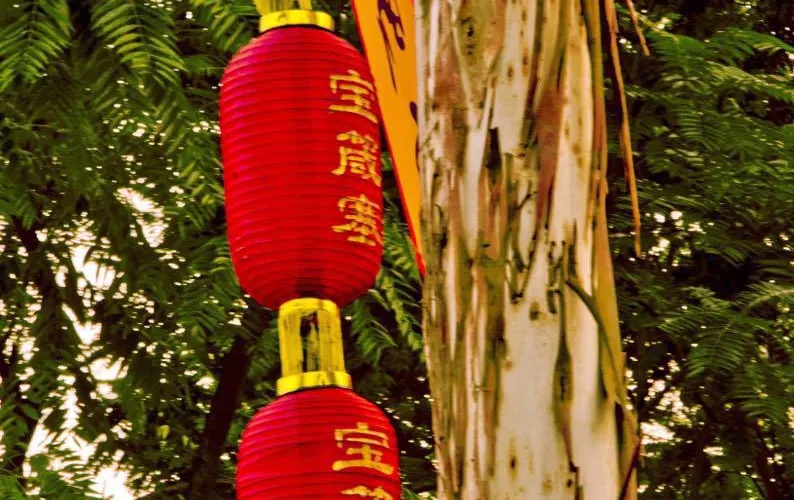 永安旅遊