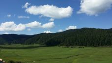 彩虹桥-婺源-5102404