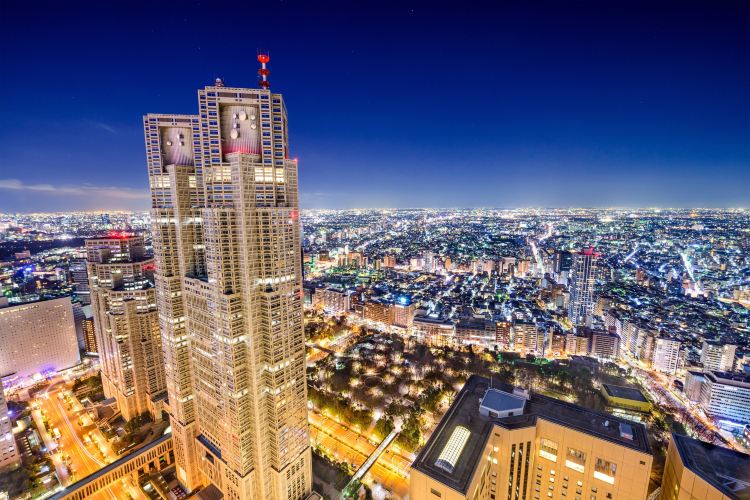 Shinjuku Area (Dynamic nightlife, shopping paradise, cultural experiences)