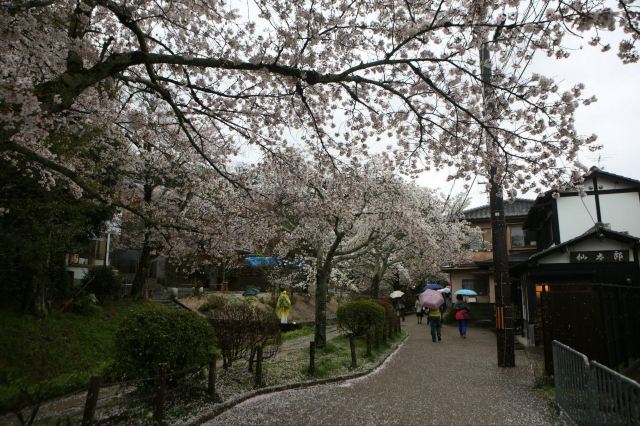 Philosopher's Walk