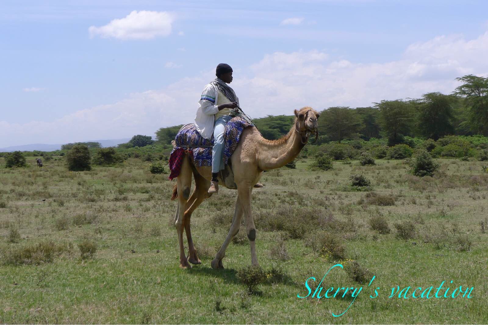 游完纳瓦沙湖后，中午时分我们继续赶路，到了此次肯尼亚的第二个国家公园－－纳库鲁国家公园保护区，这里也
