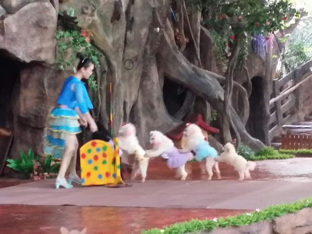 Chuanlord Tourism & Leisure Expo Garden