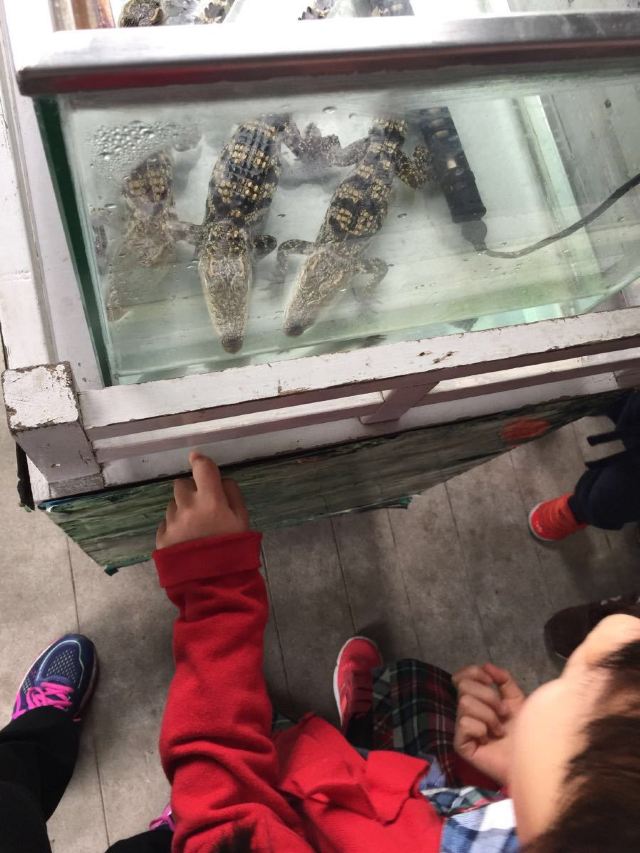 Chimelong Bird Park