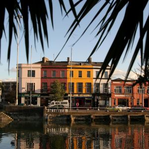 Cork