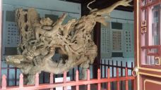 九龙池-通海-YoYo_1F3P0F9C