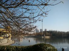 水上公园-石家庄-香山红叶