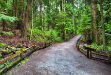 灯塔公园-西温哥华-Hello_Yuanzi