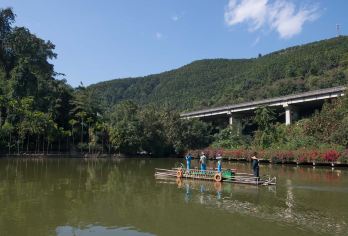 西双版纳野象谷+西双版纳原始森林公园一日游包车【[透明的价格体系，不花冤枉钱]费用高低取决于您对品质的要求，透明报价，明白消费】