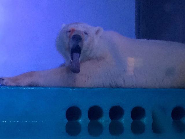 Grandview Aquarium
