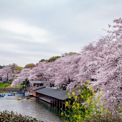 日本名古屋+下吕市+飞驒高山+金泽5日4晚私家团