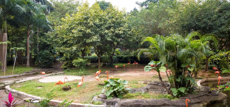 Nanning Zoo Tickets Deals Reviews Family Holidays - 