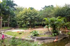 南宁动物园-南宁-doris圈圈