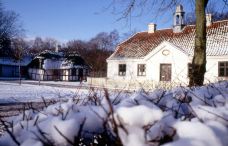 菲英村-欧登塞-doris圈圈