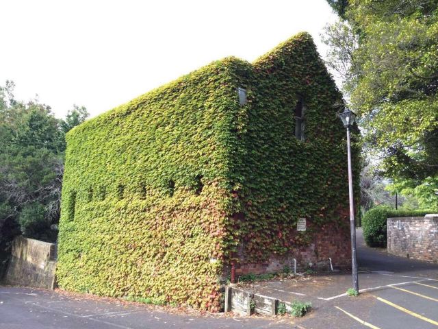 The University of Auckland