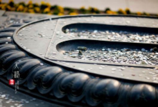 灵山胜境-菩提大道景点图片