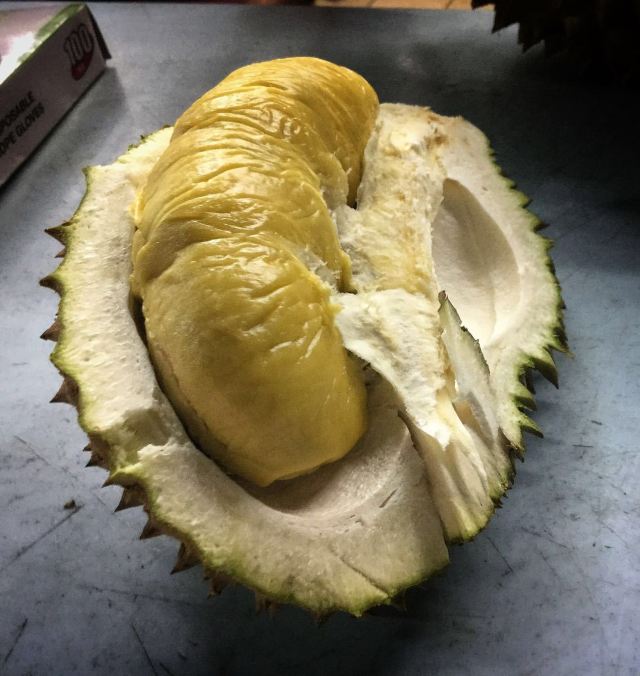 잘란 알로