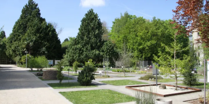 海德堡大學植物園
