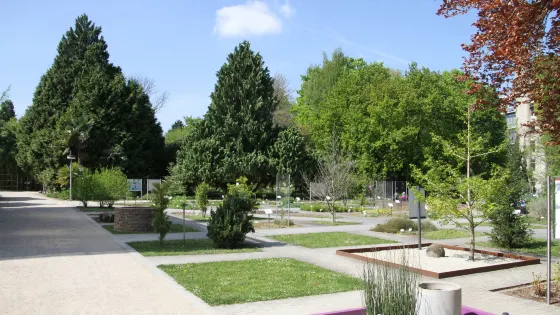 海德堡大學植物園