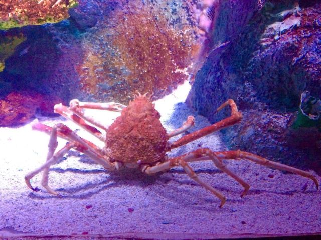 Grandview Aquarium