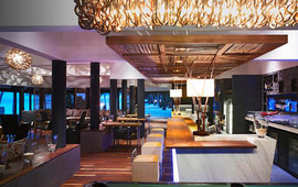 Reef Bar