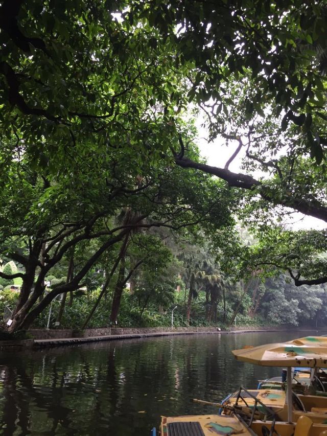Yuexiu Park