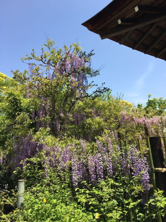 嵐山