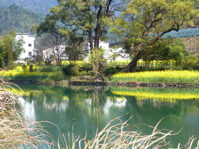 江灣景區