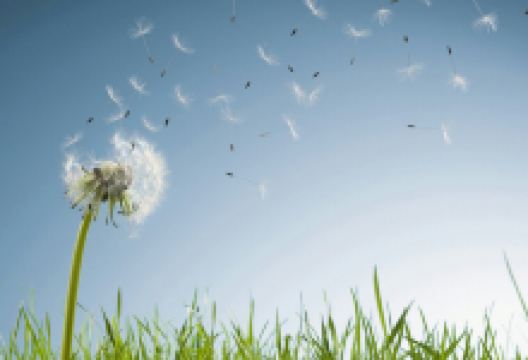 南三条市场购物图片