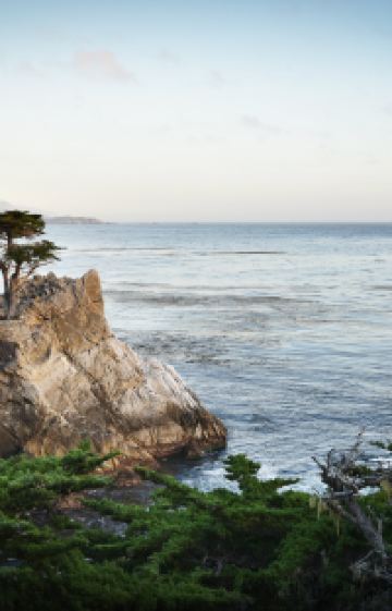 美国旧金山+优胜美地国家公园+17里湾风景线3日2晚跟团游图片