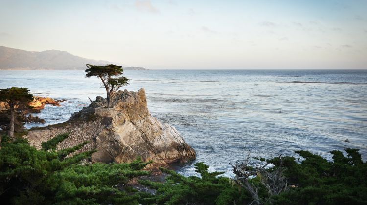 4-Day San Francisco Tour from Los Angeles · 17-Mile Drive, San Francisco City Tour and Yosemite National Park