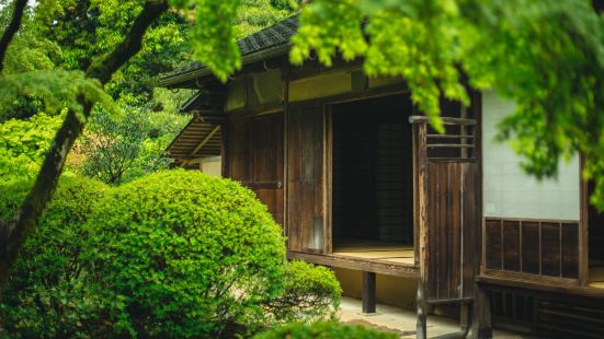 高桐院