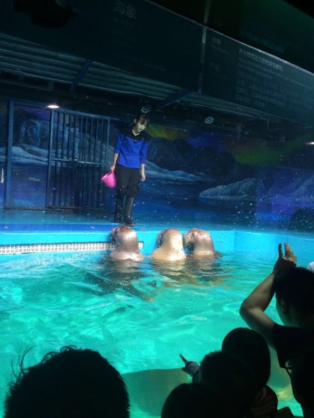 Grandview Aquarium