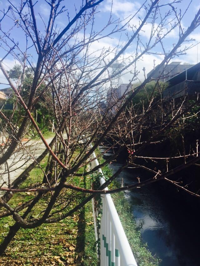 요기 공원